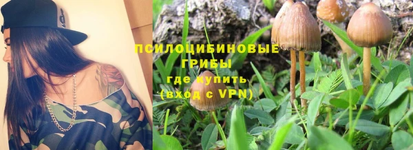 a pvp Баксан