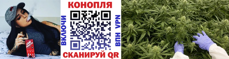 Канабис семена Болхов